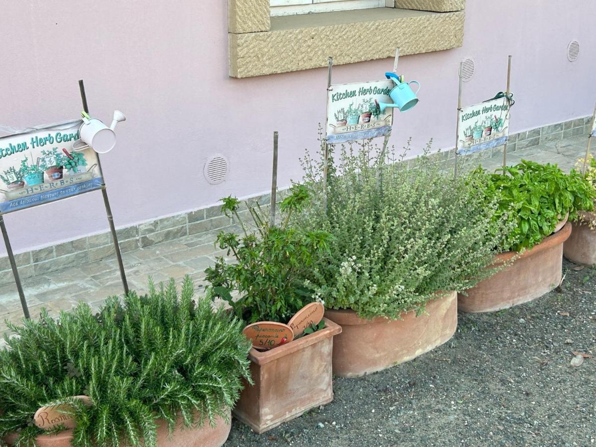 Апарт отель Fattoria Palazzeta - Pet & Family Friendly Чечина Экстерьер фото